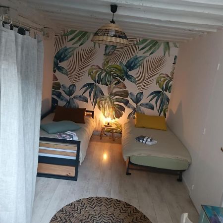 Le Logis De La Rue Des Arts Lejlighed Blois Eksteriør billede
