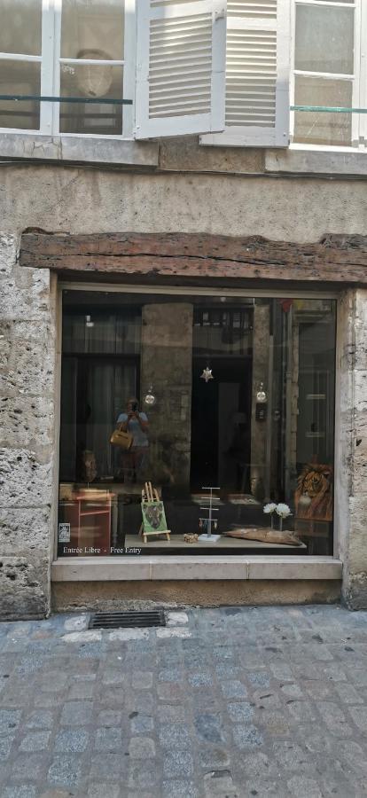 Le Logis De La Rue Des Arts Lejlighed Blois Eksteriør billede