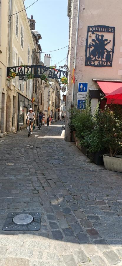 Le Logis De La Rue Des Arts Lejlighed Blois Eksteriør billede