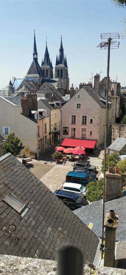 Le Logis De La Rue Des Arts Lejlighed Blois Eksteriør billede