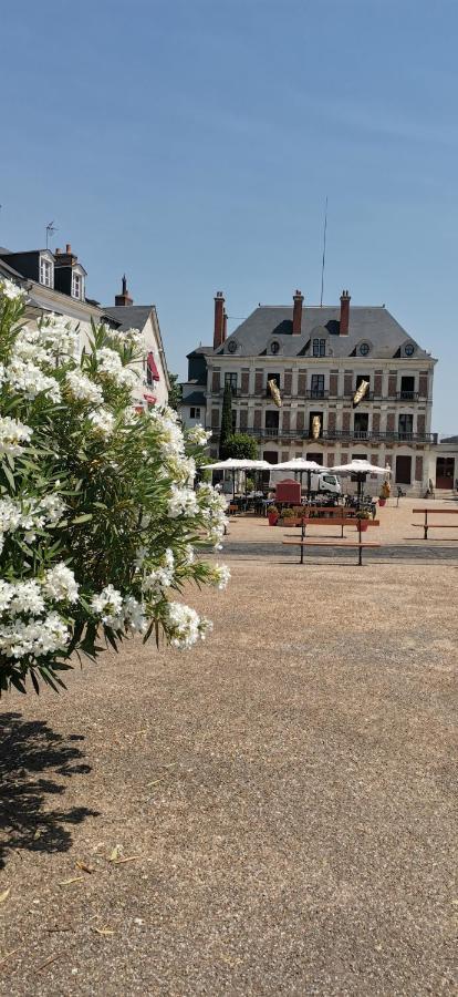 Le Logis De La Rue Des Arts Lejlighed Blois Eksteriør billede