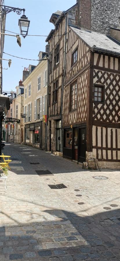 Le Logis De La Rue Des Arts Lejlighed Blois Eksteriør billede