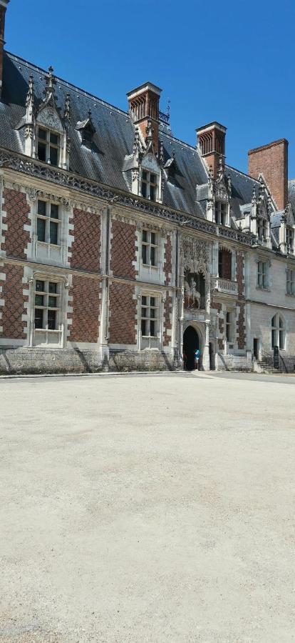 Le Logis De La Rue Des Arts Lejlighed Blois Eksteriør billede