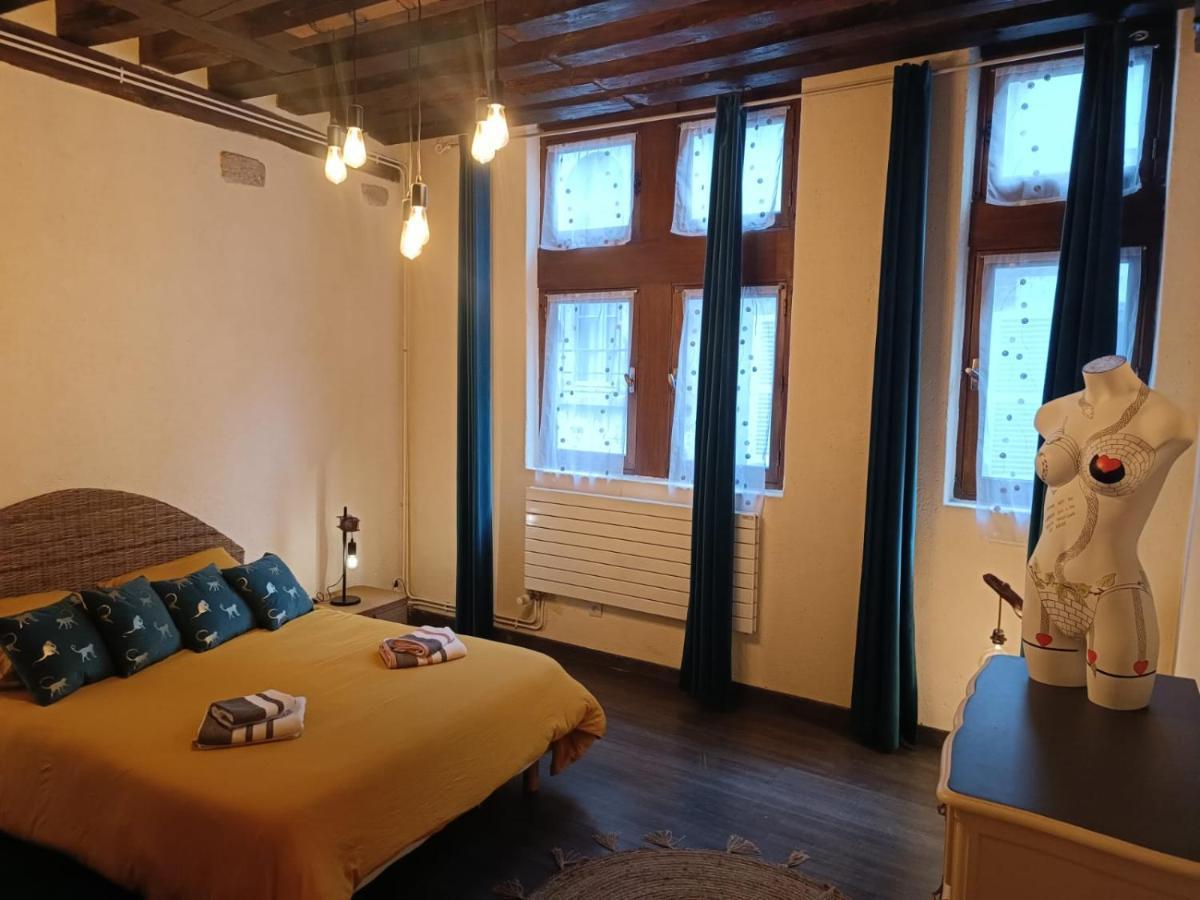 Le Logis De La Rue Des Arts Lejlighed Blois Eksteriør billede